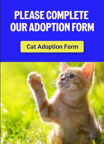 Sponsor care link to adoption form