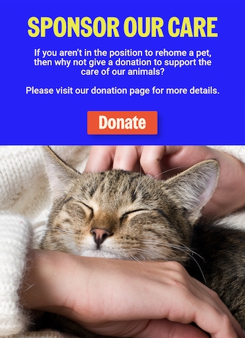 Sponsor care link to donations page