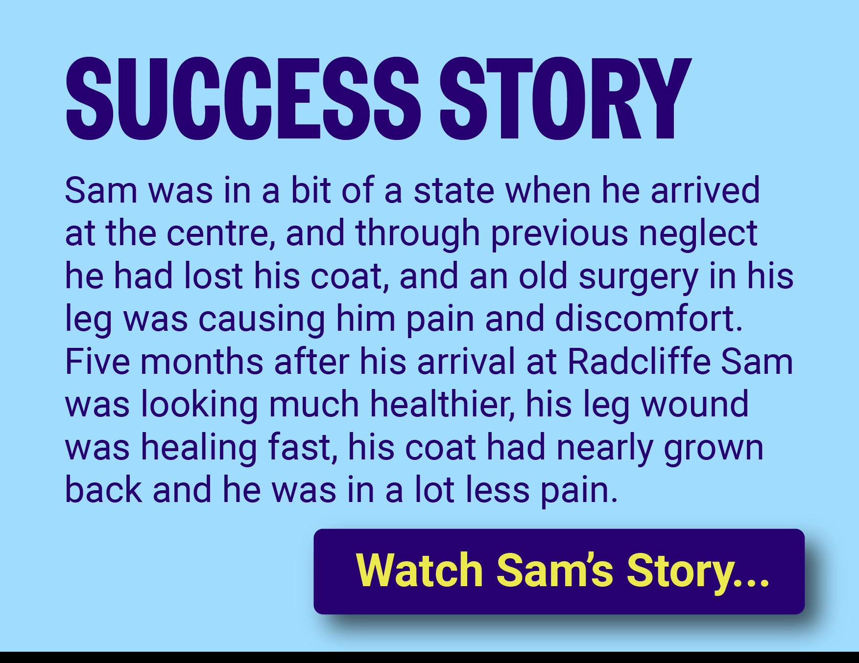 Sam's Success Story