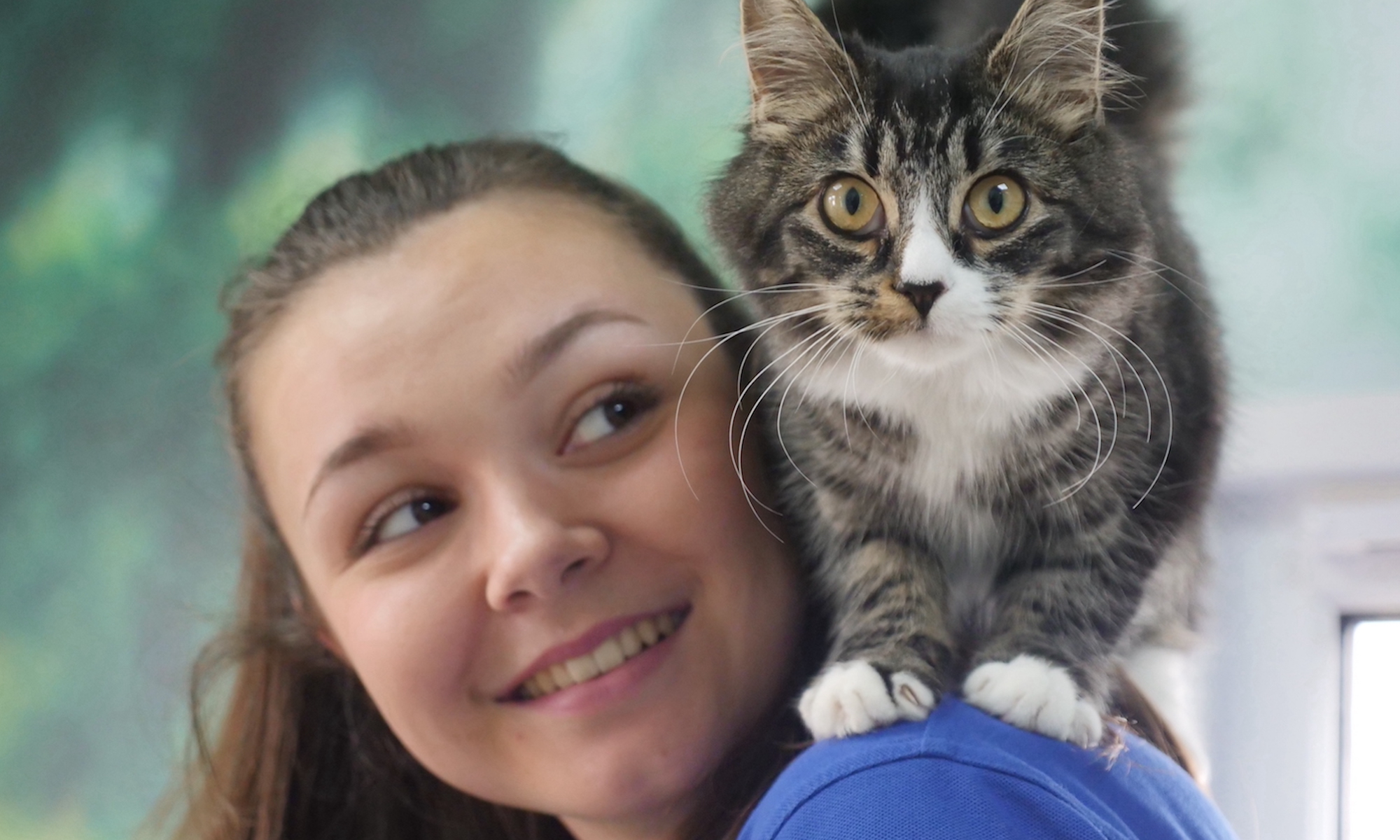 Animal care assistant with a tabby cat