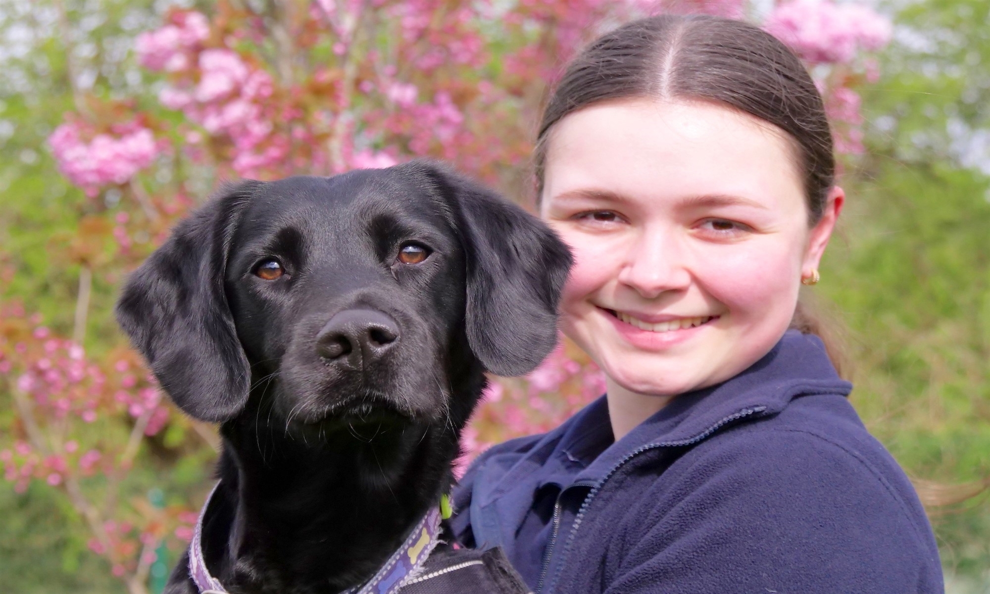 Animal care assistant with a black labrador