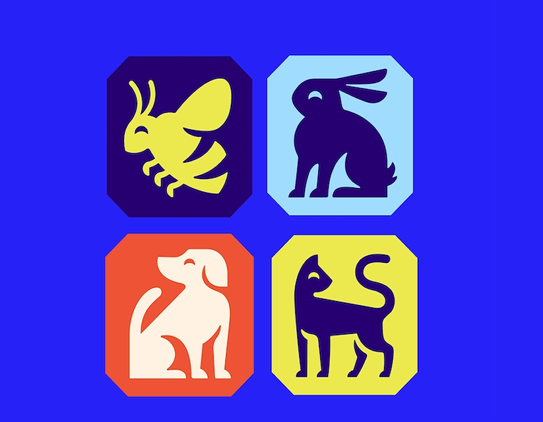 4 RSPCA coloured octopunts with animal drawings